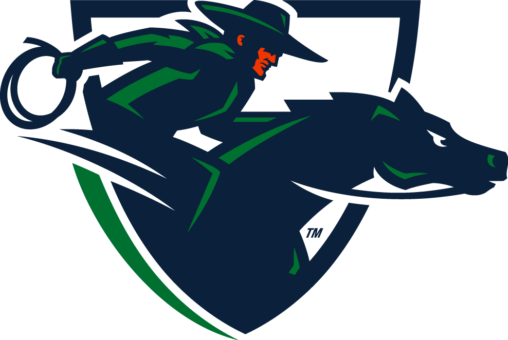 UTRGV Vaqueros 2015-Pres Alternate Logo v5 diy iron on heat transfer